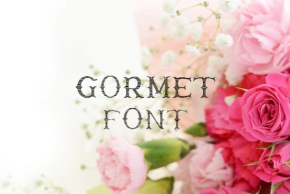 Gormet: A Playful Display Font for Bright Branding