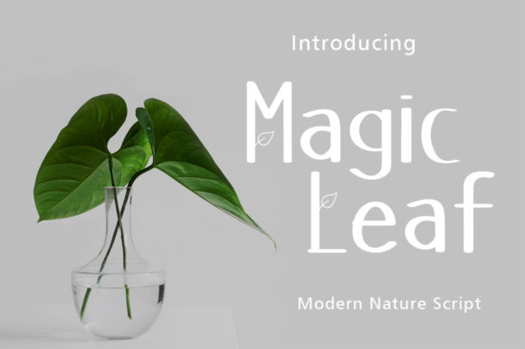 Magic Leaf: A Friendly Display Font for Editorial Design