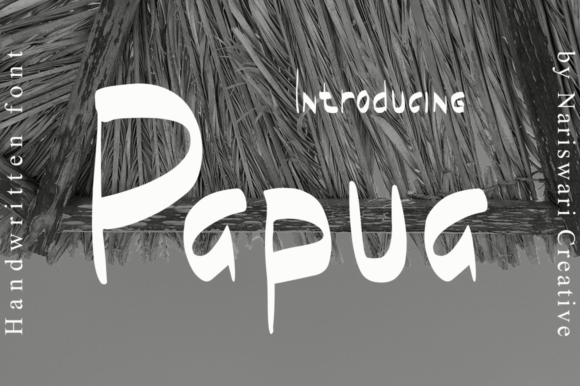 Papua Typeface: A Casual Brush Display Font for Modern Web Projects