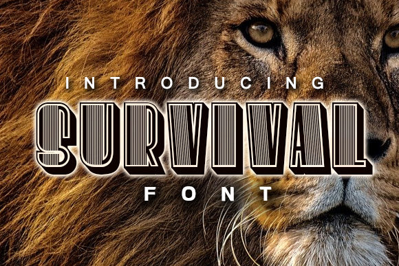 Survival Typeface: Bold Display Fonts for Standout Branding